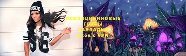 стаф Бородино