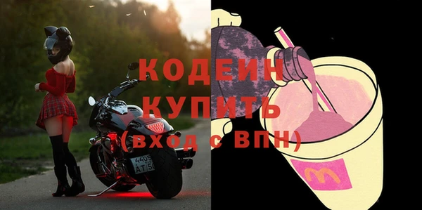 стаф Бородино