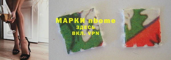 стаф Бородино