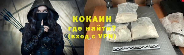 стаф Бородино