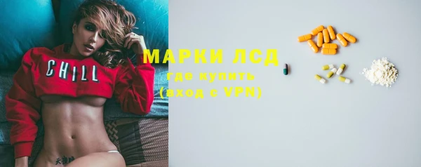 стаф Бородино