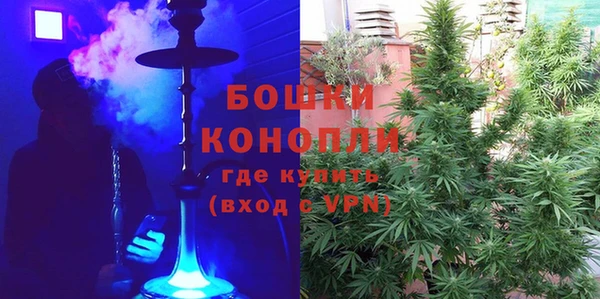 стаф Бугульма