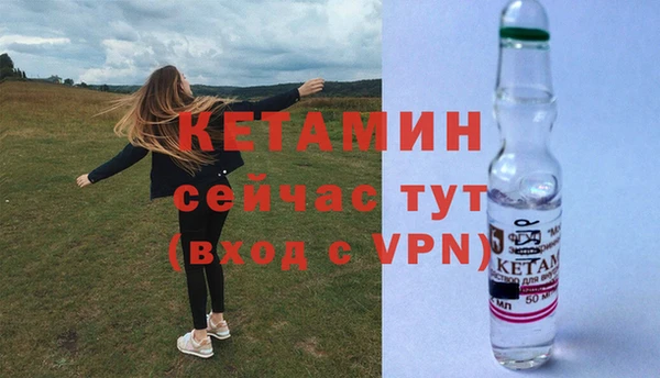 стаф Бородино