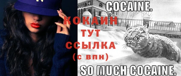 стаф Бородино