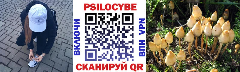 Галлюциногенные грибы прущие грибы  Купить  Шелехов 